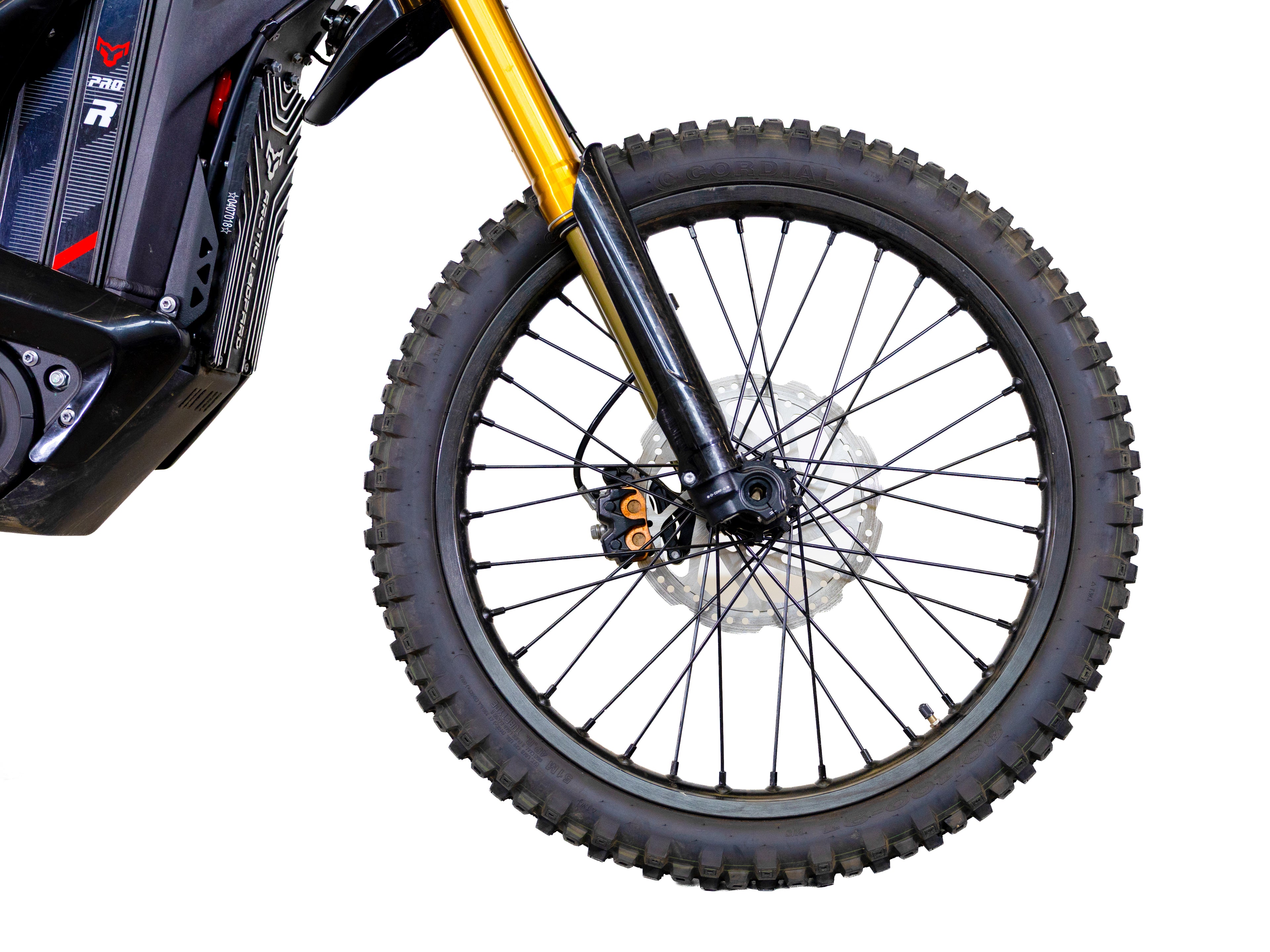 Arctic Leopard XE PRO R MX