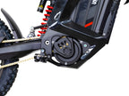 Arctic Leopard XE PRO S L1e - homologated